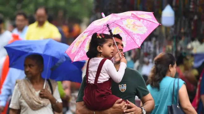 बारिश, मानसून, बीमारियां, डेंगू