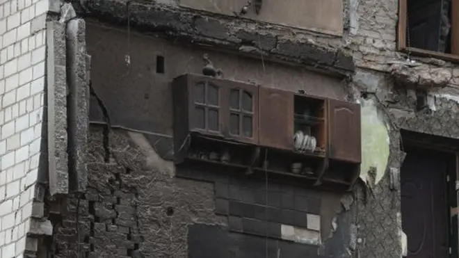 бородянка шафка