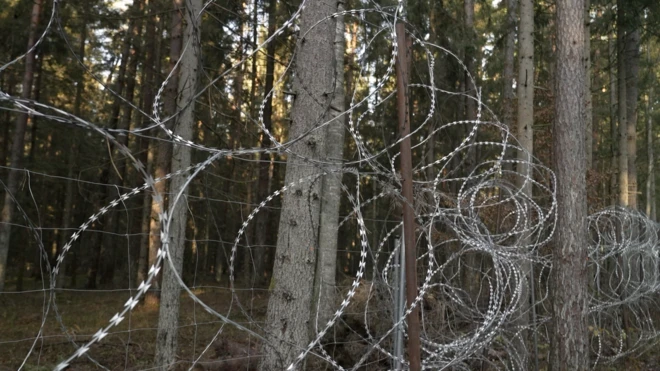 Alambrada en un bosque en la frontera entre Polonia y Bielorrusia. 