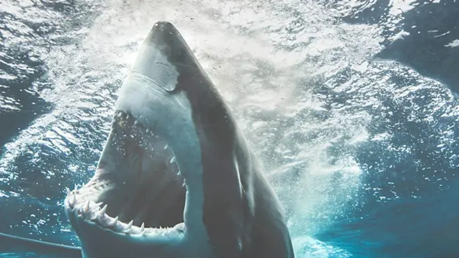 Yaxaas badeed xanibmay