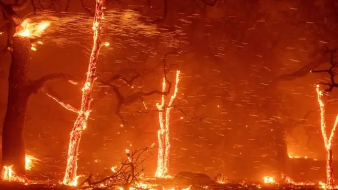 Embers fly as wind and flames from the Camp fire tear through Paradise, California