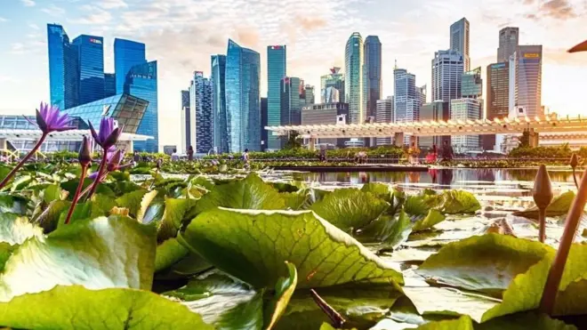 سنگاپور کا ایئرپورٹ آپ کو غیر معمولی نہیں لگے گا لیکن چانگی پہنچ کر آپ کو سنگاپور کا ایک الگ تجربہ ہوتا ہے