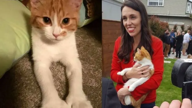 نیوزی لینڈ کی وزیر اعظم جہسن آرڈرن اپنی بلی پیڈلز کے ساتھ