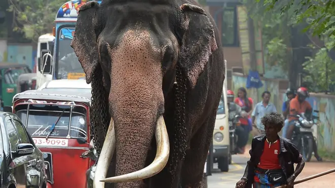 නැදුන්ගමුවේ