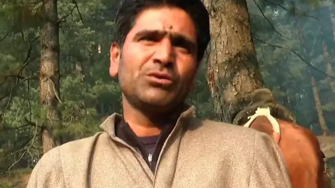 कश्मीरी घोड़ेवाला