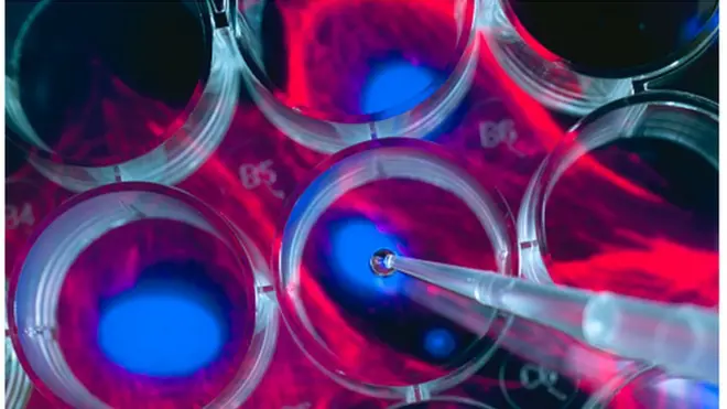 ውሃዩ ኣብ ቤተ ፈተነ