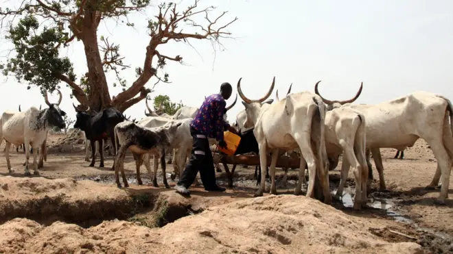 Fulani herdsman in 2015