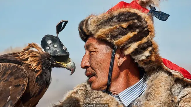 Training a bird can take several years