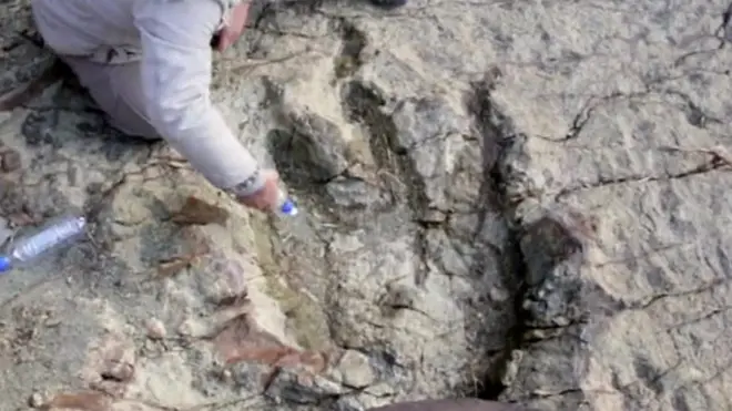 Huella de dinosaurio