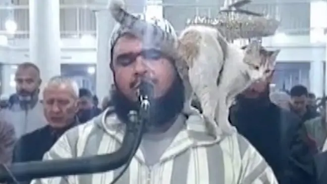 macka i imam na molitvi