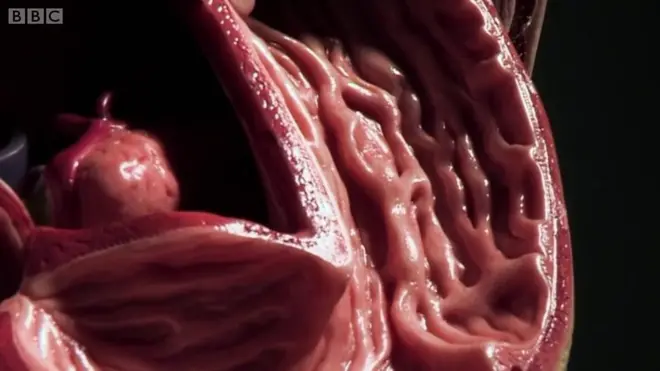 소화가 잘 안되면 피해야 할 음식들