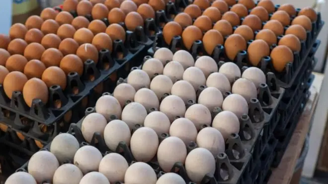 కోడిగుడ్లు