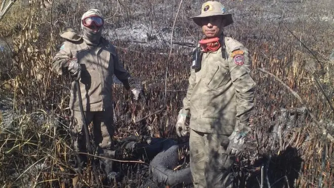 Incêndio atingiu cercajogar bingo online a dinheiro3,7 mil hectaresjogar bingo online a dinheiroárea entre Bonito e Jardim, ambasjogar bingo online a dinheiroMato Grosso do Sul