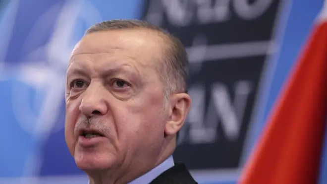 الرئيس التركي رجب طيب أردوغان