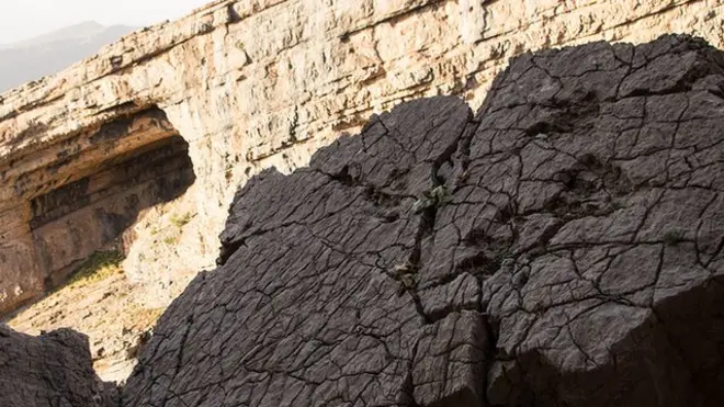 Динозавр излари