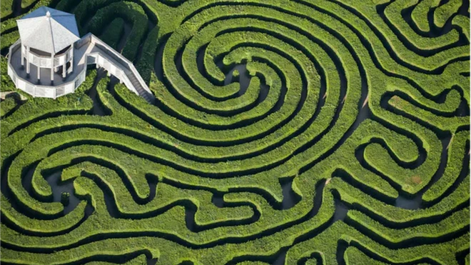 เกมเขาวงกต