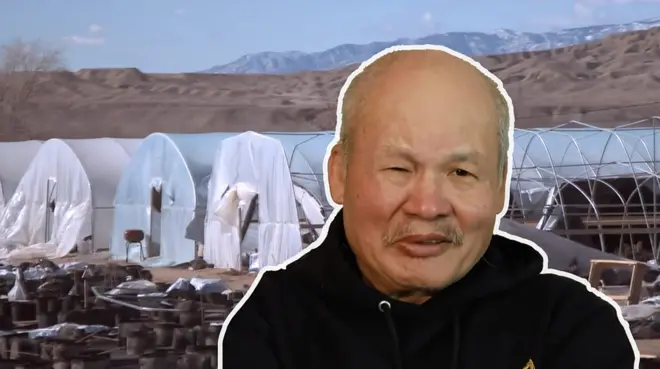 新冠疫情下，大批失業的華人移民來到美國納瓦霍國，做起他們本以為合法的農場工作。然而，追尋「淘麻夢」的華人移民勞工很快發現，這行工作遠不如想象的那樣簡單——大麻農場讓他們與印第安原住民族群變得針鋒相對。