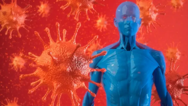 koronavirus, bu gün