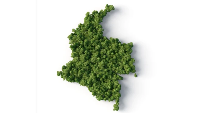 Mapa de Colombia hecho con arbustos
