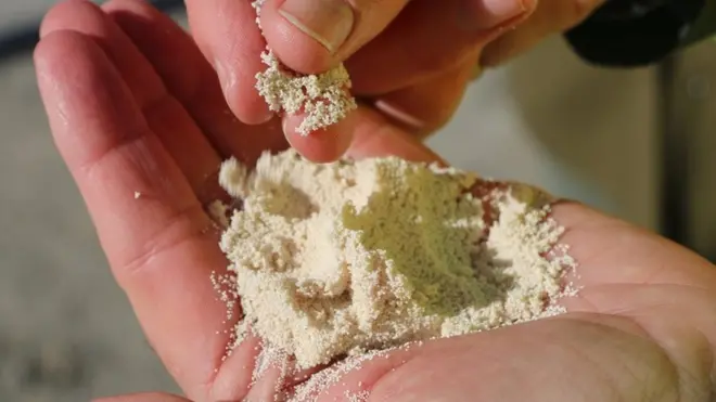 대기 중의 이산화탄소를 집적시키면 이런 탄산칼슘이 나온다