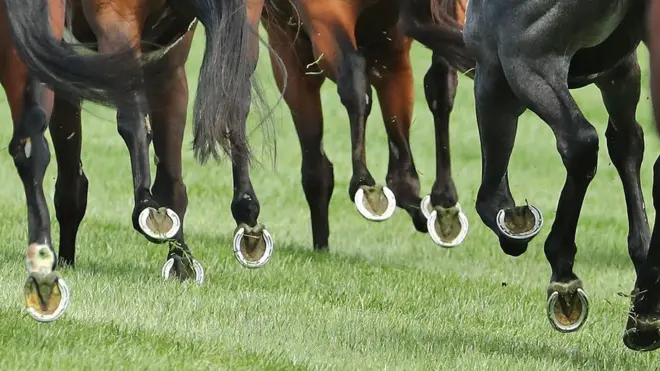 เกือกม้า