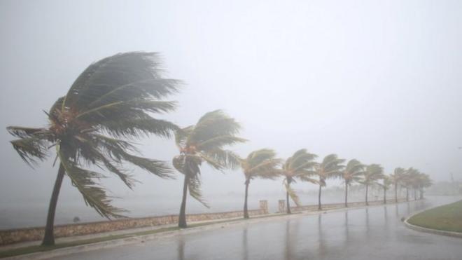 飓风艾尔玛冲击古巴