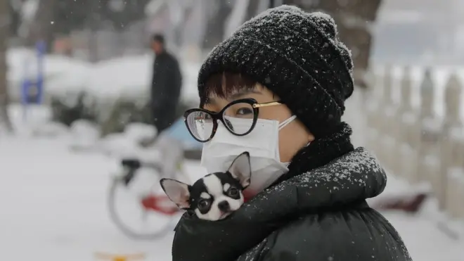 คนกับสุนัข