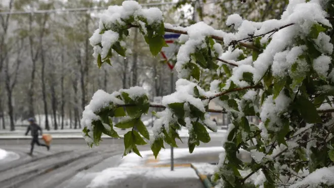 Гидрометцентр обещает, что уже в понедельник дневная температура повысится до 15-16 градусов
