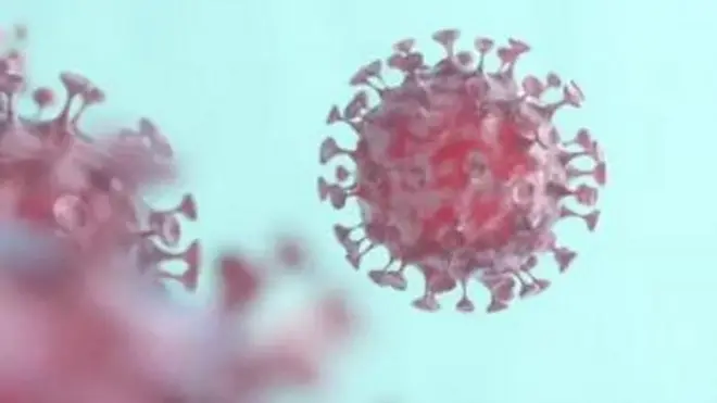 Corona Virus New Strain