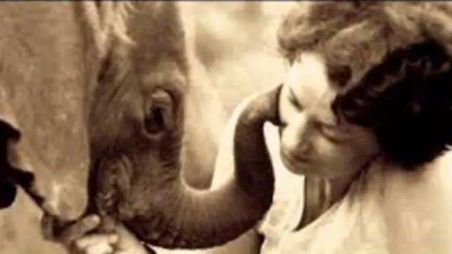 කෙන්යාවේ අලි පැටවුන් රැකුමට දිවිය කැපකළ මව