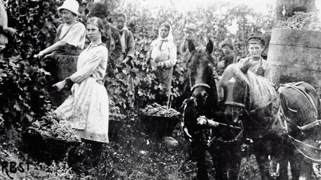 Немецкие переселенцы