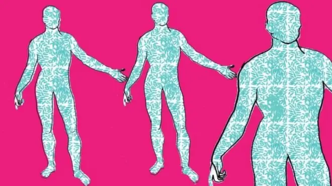 Людське тіло