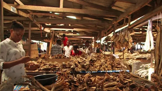 Ahịa okporoko abụghịkwa ahịa ndị ogbenye na-azụ maka na e ji nnukwu ego azụ ya.