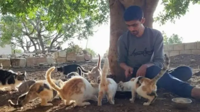 شام، کفرنبل، بلیاں