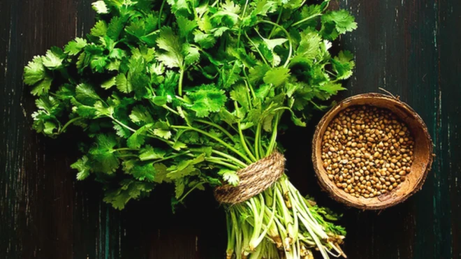 तने से लेकर पत्तियों तक, धनिया के हर हिस्से का इस्तेमाल होता है.