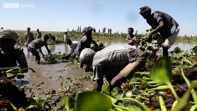 Lago Tana