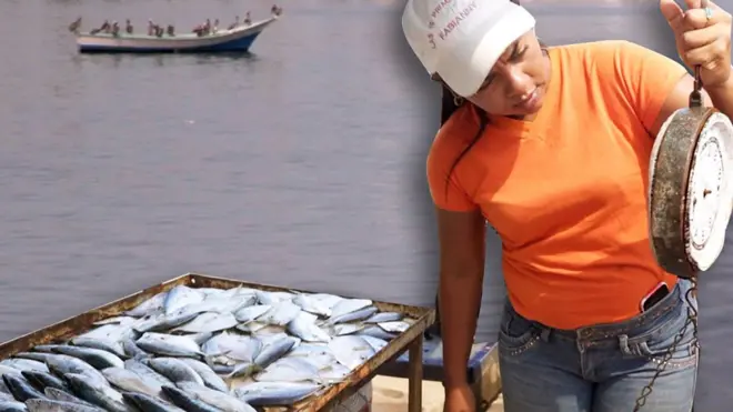 Montaje en mercado en Venezuela