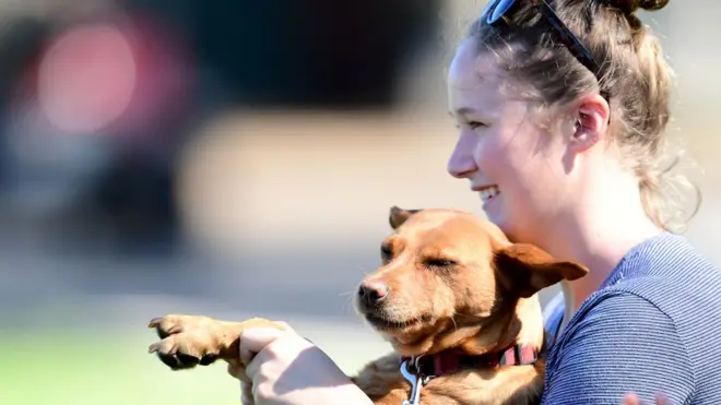 اپنے کتے کے ساتھ کرکٹ میچ دیکھتے ہوئے