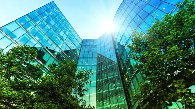 Árboles en la ciudad