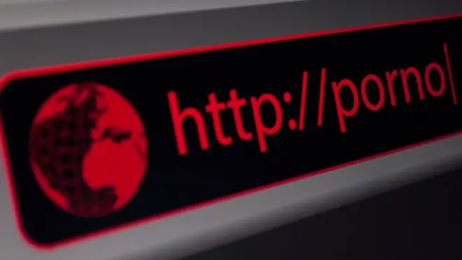 Internet pornography