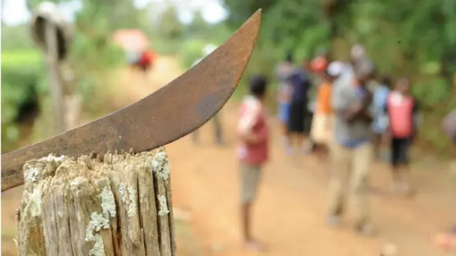 Мачете на заборі