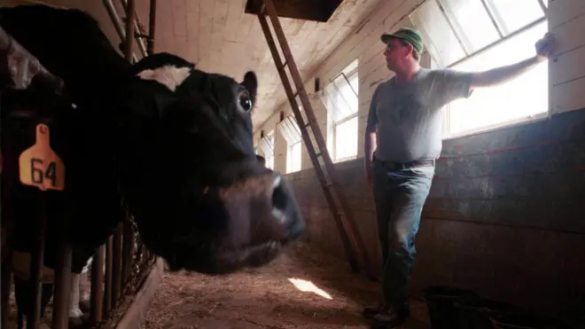 डेरी फार्म