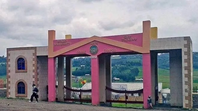 ወሎ ዩኒቨርስቲ