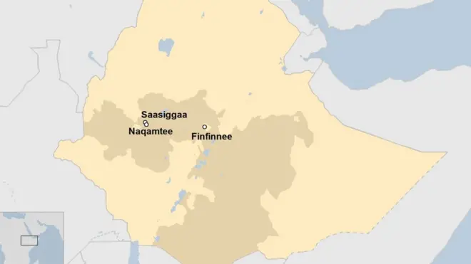 Danaa godina Wallagga Bahaatti Saasigga agariisu.