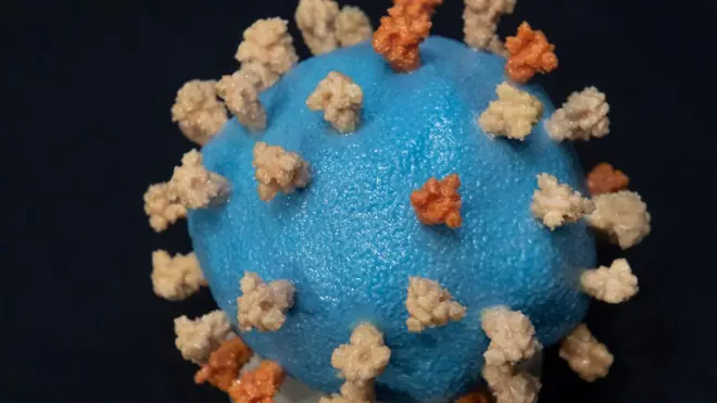 فيروس كورونا