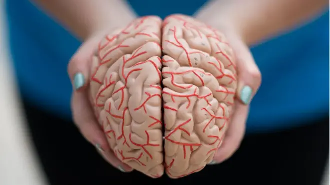 జ్ఞాపకశక్తి