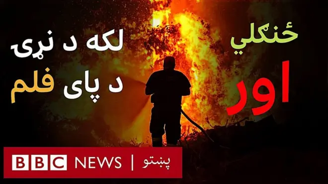 د یونان له دویم لوی ټاپو ایویا د ځنګلي اور له کبله زرګونه خلک له خپلو مېنو ووتل.