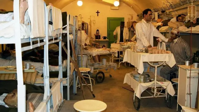 （圖片來源：Sara Toth Stub）