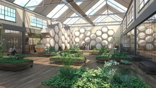 未來的城市喪葬中心，沒有骨灰盒，只有一盒盒肥料土壤。