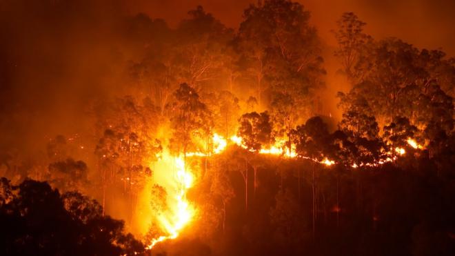 A bushfire burns through bush in Australia